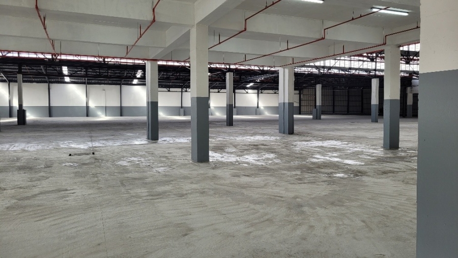 To Let commercial Property for Rent in Epping Industrial Western Cape